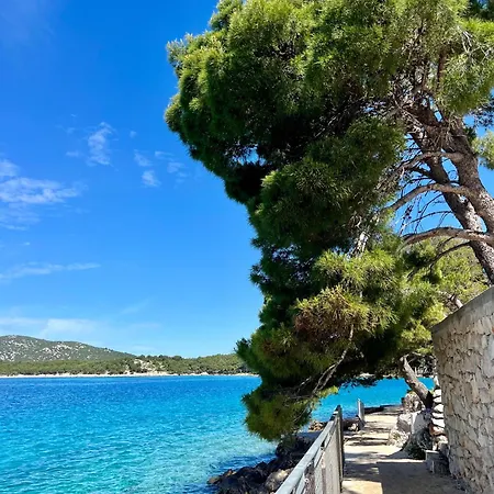 White * Tribunj (Sibenik-Knin)