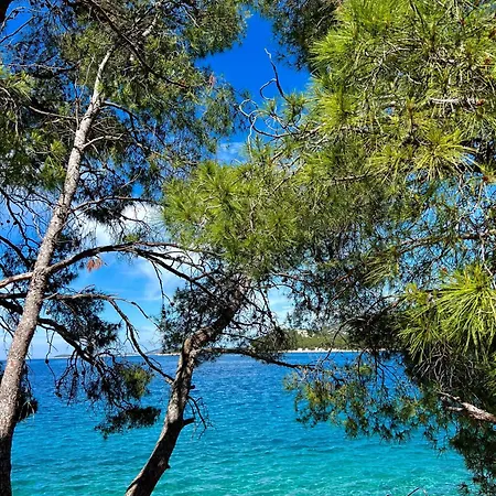 White Appartamento Tribalj