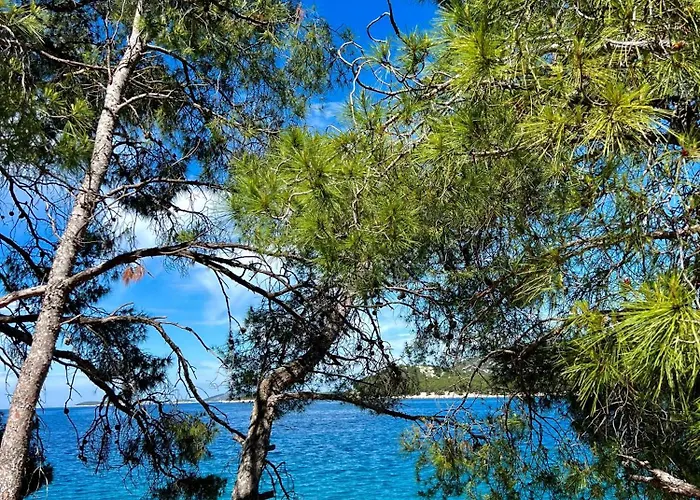 White 아파트 Tribalj